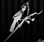 Load image into Gallery viewer, METAL BIRDS 10-11ga metal ,Finished to your choice