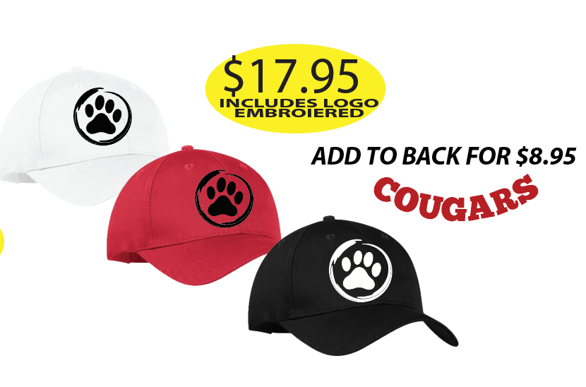Colonel Cameron base ball hat with Logo Embroidered